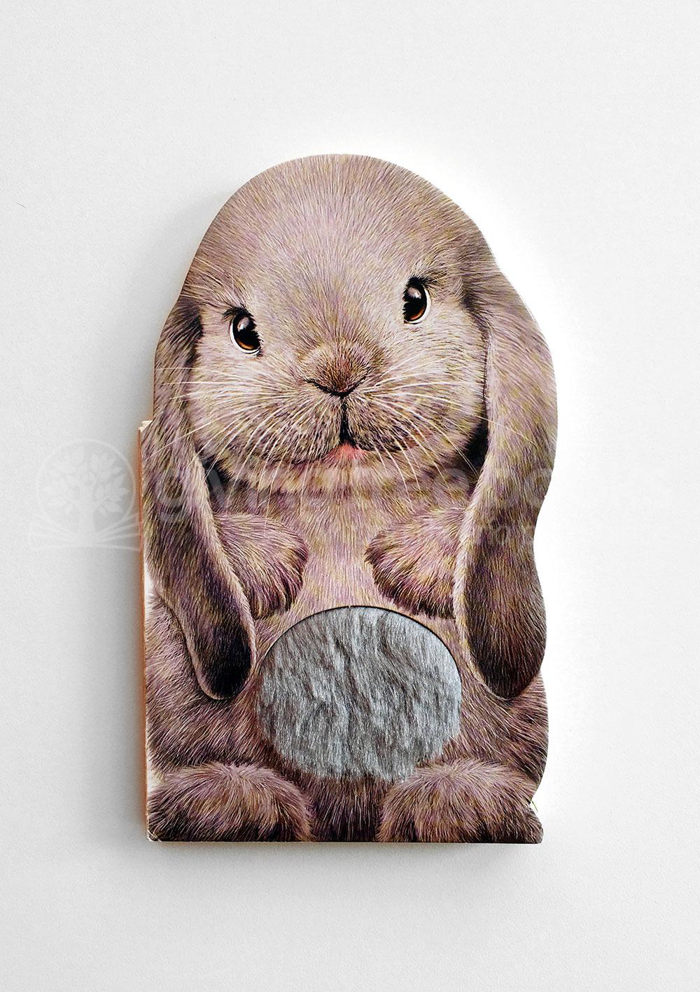 Bunny: Furry Bunny