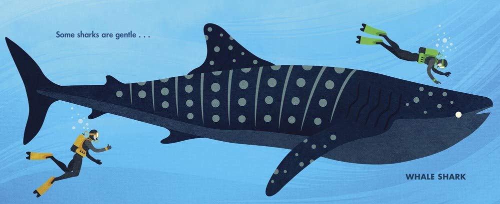 Chomp: A Shark Romp