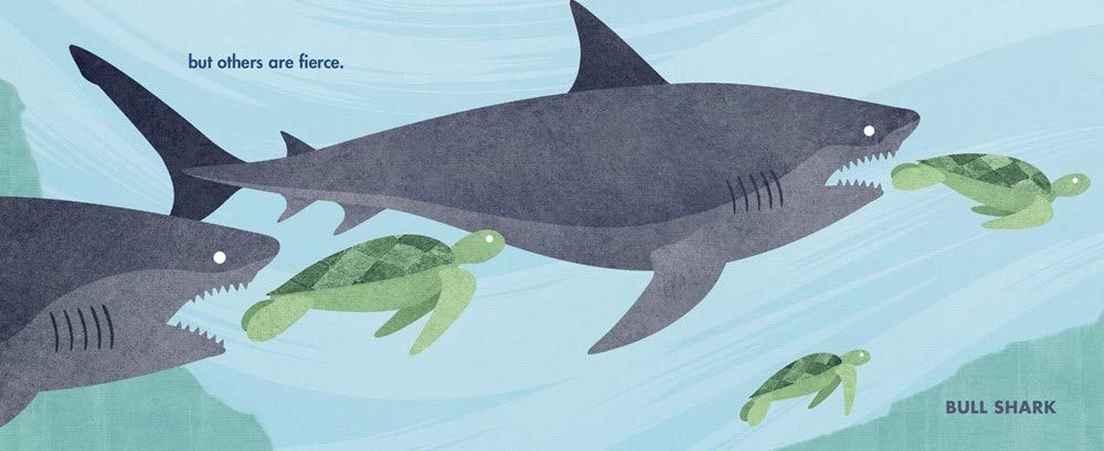 Chomp: A Shark Romp