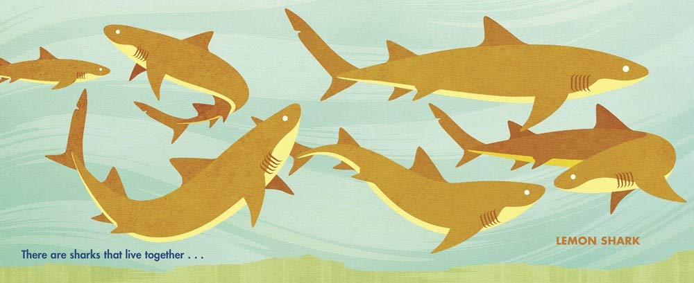 Chomp: A Shark Romp