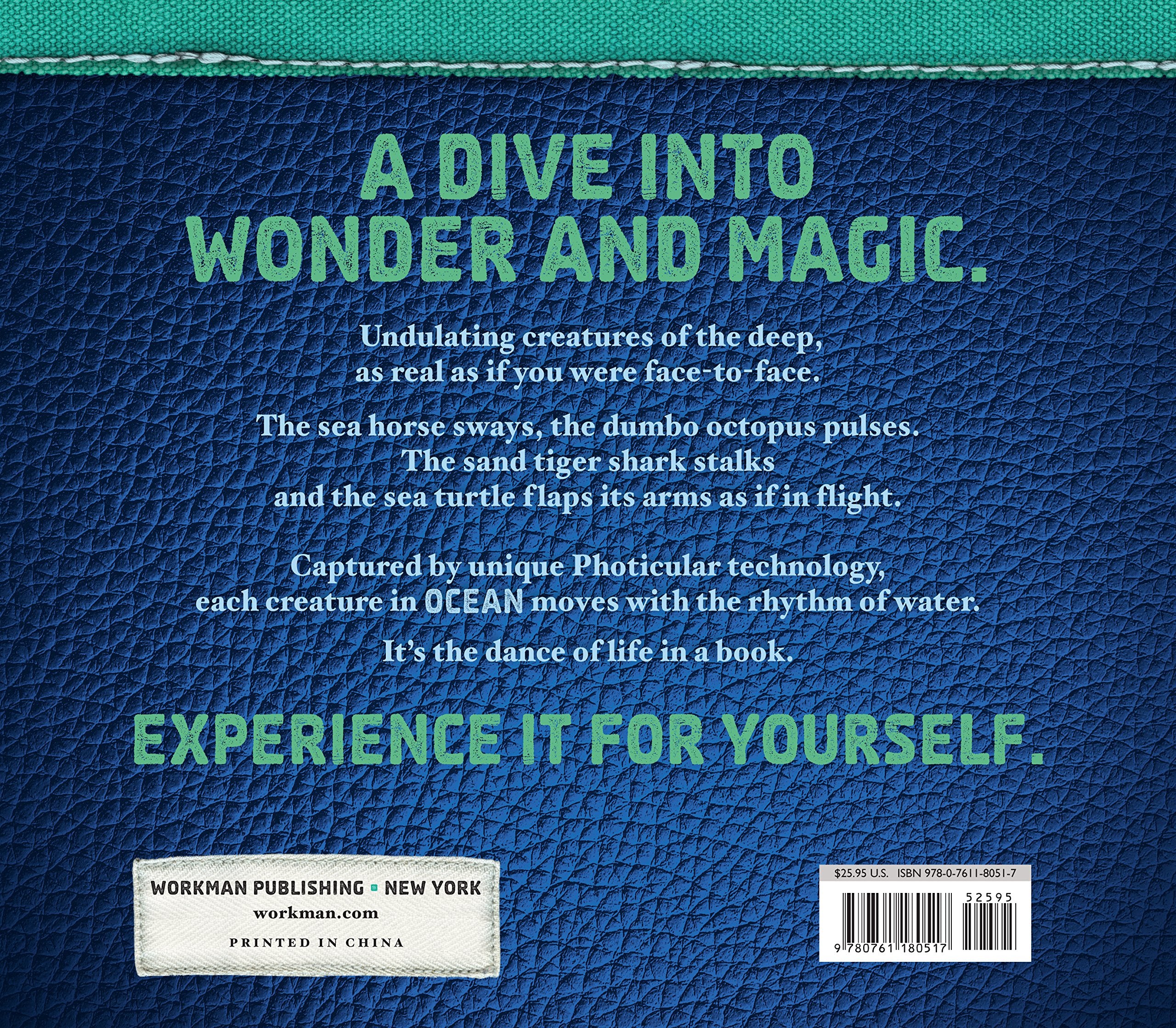 Ocean: A Photicular Book *NEW*